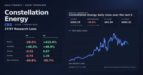 Constellation Energy (CEG) asset overview snapshot. Return -28.6%, Volatility +48.5%, and 5Y price context. Data from www.gale.finance.