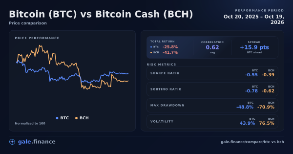 Bitcoin vs Bitcoin Cash price performance comparison chart 2026 - returns, volatility, and risk metrics